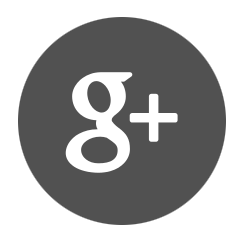 Google+